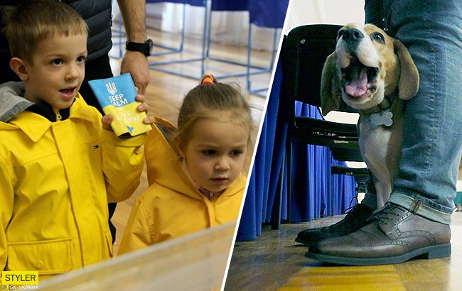 Выборы 2019: самые яркие и забавные фото с участков