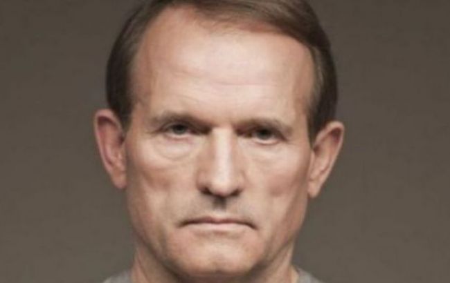 Медведчук прокомментировал инвестиционные инициативы правительства