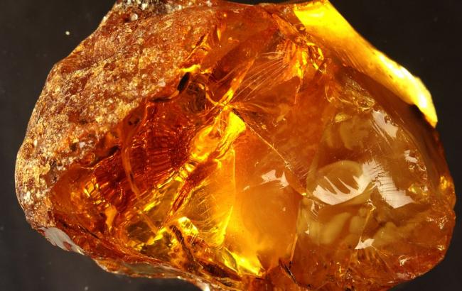 На Волыни просят Раду принять закон о янтаре