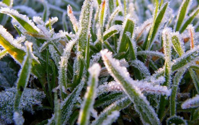 Синоптики предупреждают о заморозках в отдельных регионах Украины