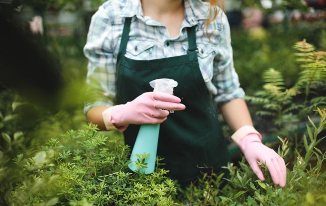 Замість гербіциду: як зробити засіб проти бур'янів з трьох звичайних інгредієнтів