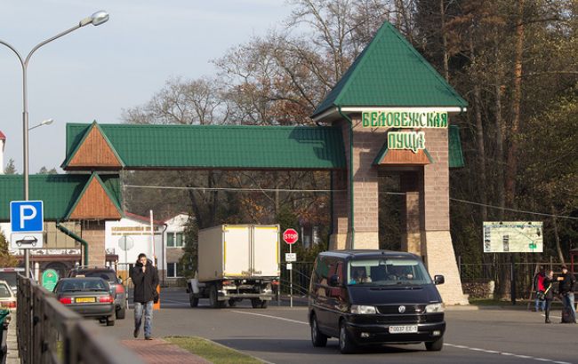 ЄС зобов'язав Польщу призупинити вирубку лісу у Біловезькій пущі