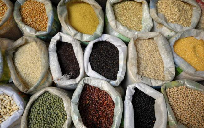 Україна займає четверте місце в світі з експорту кукурудзи, - МінАП