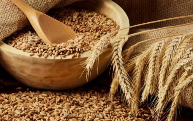 Аграрный экспорт Украины вырос на треть за І квартал 2017 года