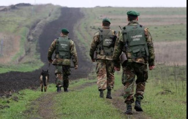 Пограничники задержали 15 нелегалов возле границы с Венгрией