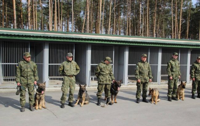 Поліцейські-кінологи готуються до забезпечення безпеки Євробачення-2017