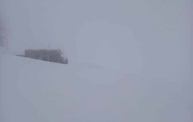 Карпаты засыпает снегом, видимость ограничена
