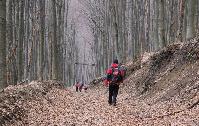 Исчез более трех месяцев назад: в Карпатах возобновили поиски туриста из Киева