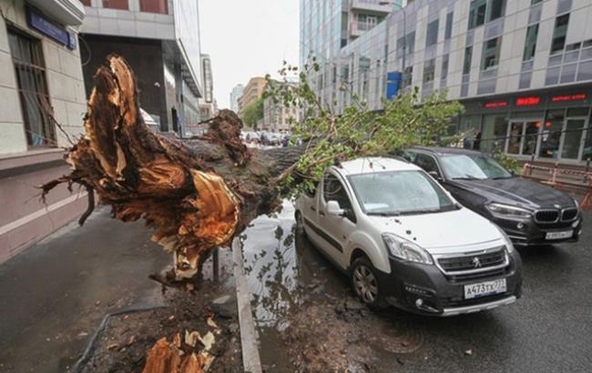 Ураган в Москві: кількість жертв зросла до 16 осіб