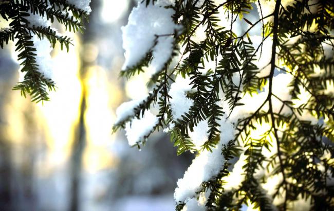 Погода на сьогодні: в Україні переважно без опадів, температура опуститься до -7