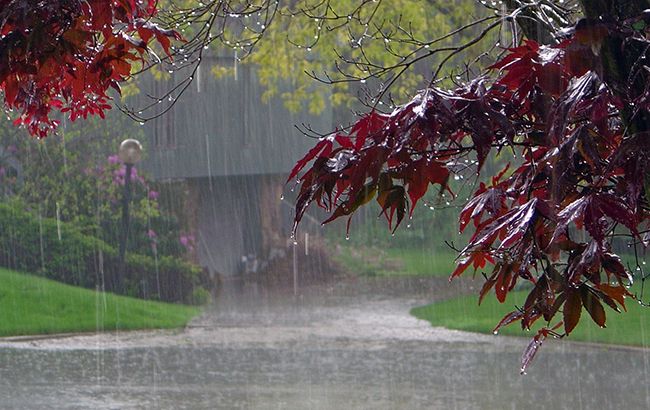 В Париже из-за сильных дождей затопило 15 станций метро