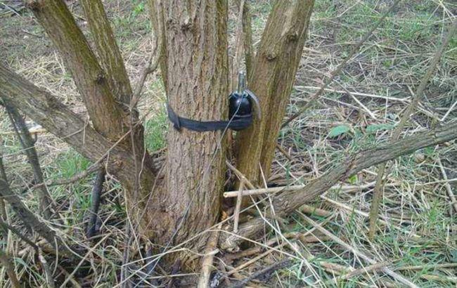 В Луганской области два человека подорвались на растяжке