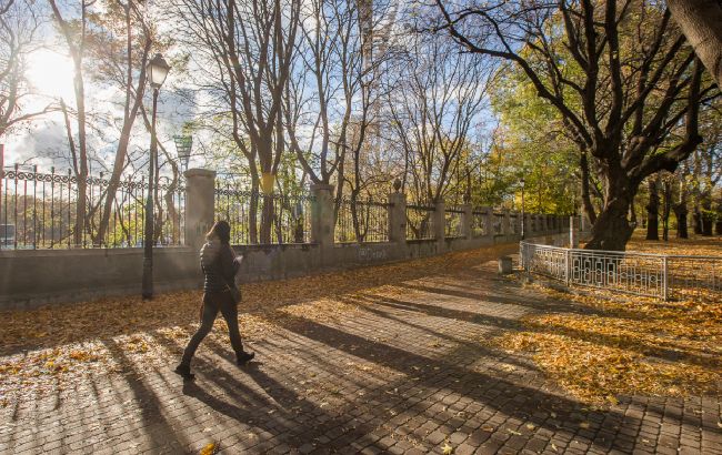 Осенняя прохлада, но без дождей: прогноз погоды на сегодня