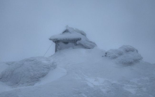Карпати замело: фото засніжених гір