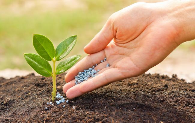 Дефицит удобрений в размере 34% может привести к потере урожая и 2,5 млрд долларов экспорта, - ФРУ