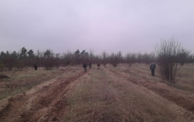 В Николаеве на взятке поймали россиянина, работающего в лесном хозяйстве