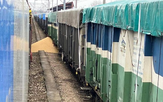 У Польщі знову висипали українське зерно