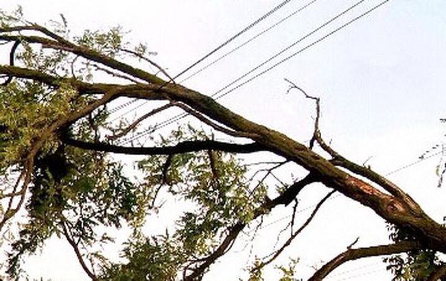 В Полтавской области непогода обесточила более 50 населенных пунктов