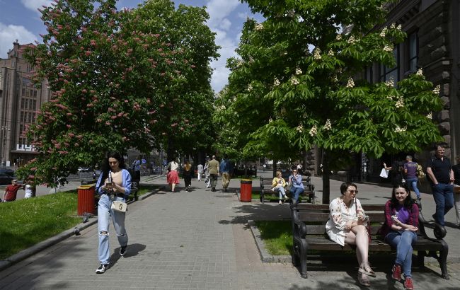 Исчезнут ли каштаны из Киева: что на самом деле происходит с символом города