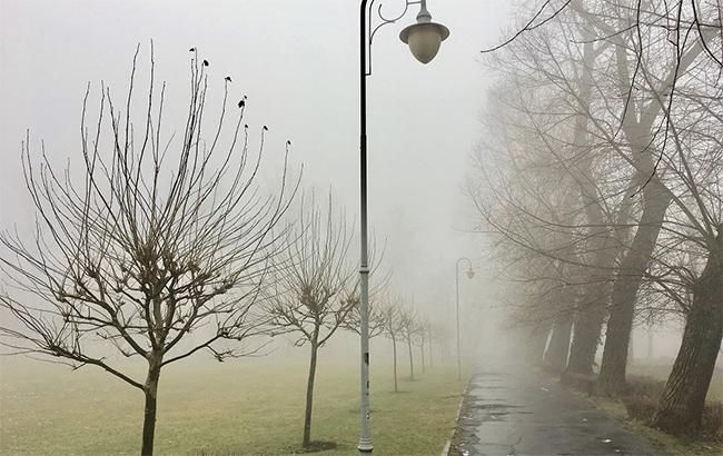 У Польщі сильний смог, вміст пилу в повітрі понад 900%