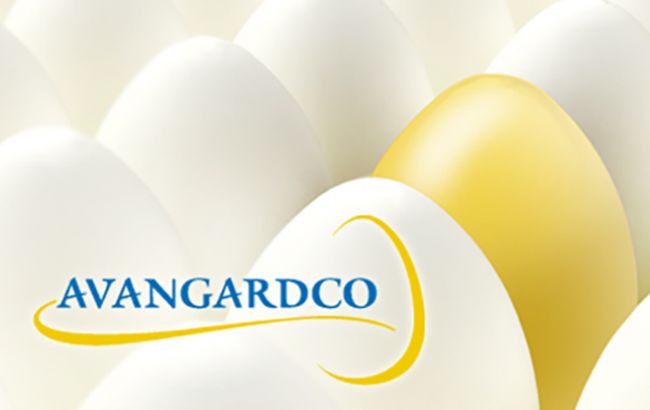 ТОП-9 украинских компаний-экспортеров куриного яйца возглавил &laquo;Авангард&raquo; Бахматюка