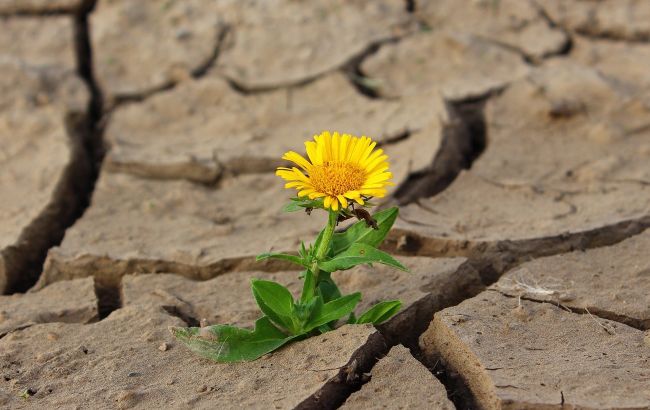 Ученые дали тревожный прогноз по изменению климата в Украине: могут вымереть люди