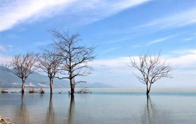 Глобальное потепление уничтожит целые государства: какие страны в опасности