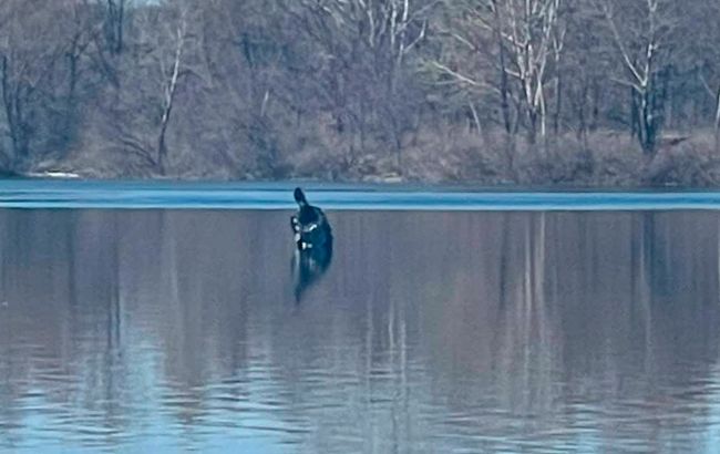 Украинская ПВО сбила вражескую ракету над Киевом