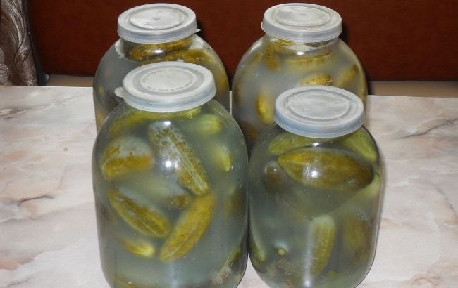 Из-за этих ошибок огурцы в банках покрываются белым налетом: как предотвратить и можно ли их есть