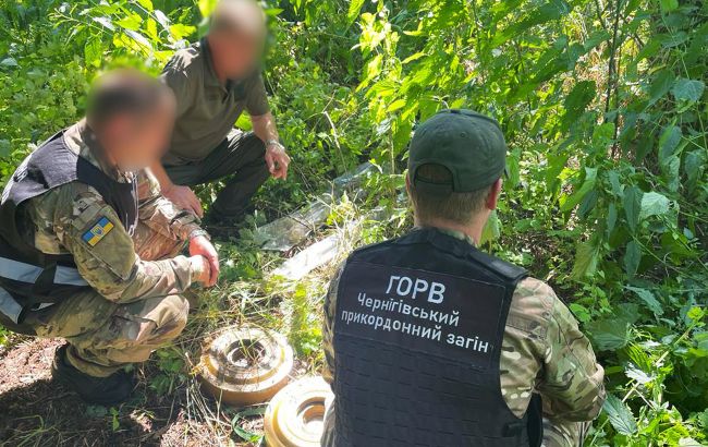 В Черниговской области обнаружили схрон с российским оружием