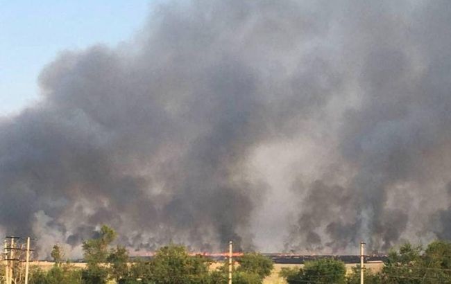 В Мариуполе партизаны подожгли поля. Под угрозой склады оккупантов, - мэрия