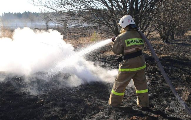 "Спалахнули покришки". Під Петербургом сталася пожежа на аеродромі