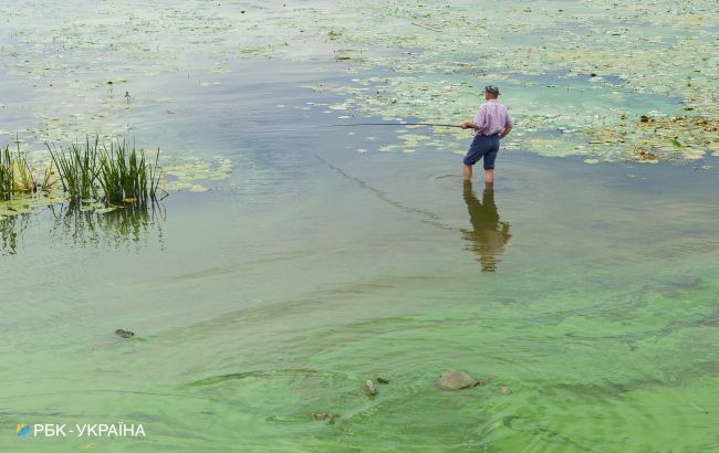 У Миколаївській та Херсонській областях заборонили ловити і продавати рибу