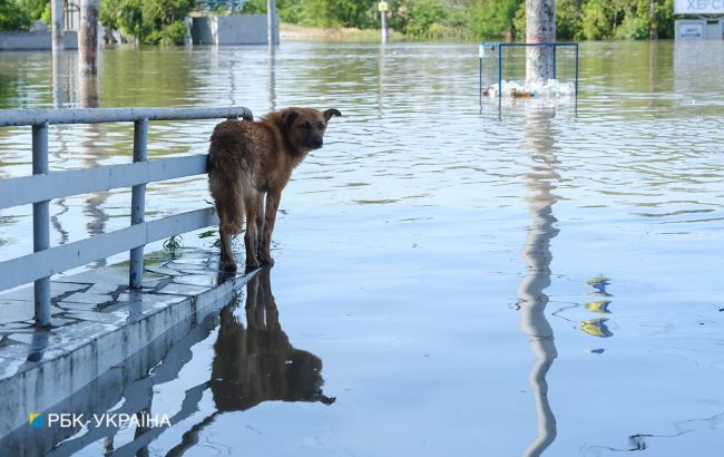 У Миколаєві та області рівень води перевищив історичний максимум