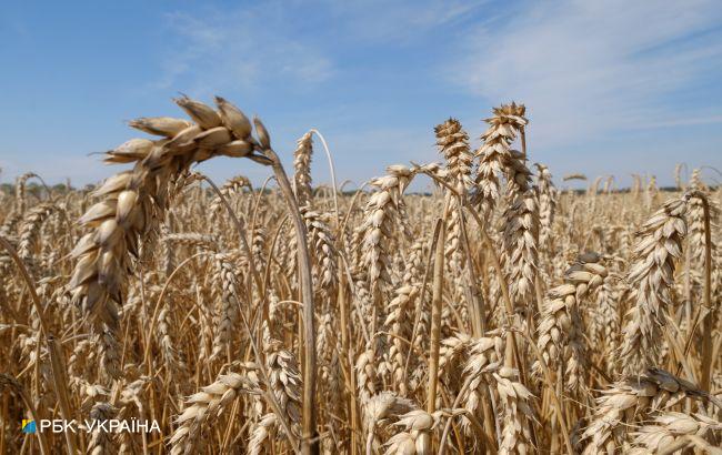 Парламент Болгарії підтримав скасування заборони на імпорт українського зерна
