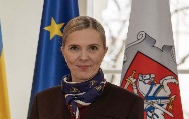 Литва побудує на кордоні з Білоруссю та РФ додаткового загородження на сотні кілометрів