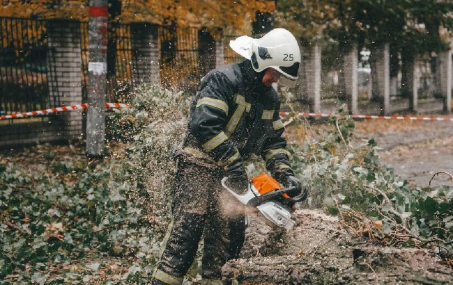Жертвы, деревопад и отключения света: что известно о последствиях шторма в Украине