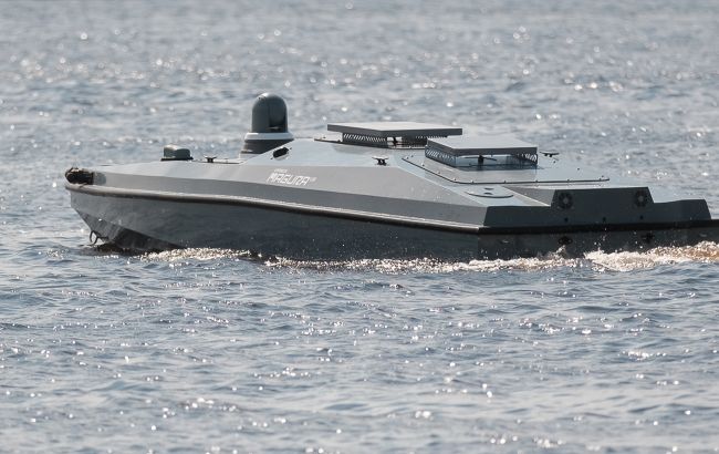 Литва хоче виготовляти морські дрони: половину віддадуть Україні