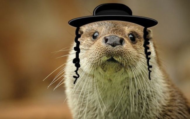 Марк Цукерберк посетит Украину