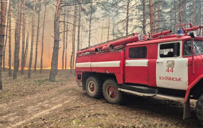 Оккупанты обстреляли село под Купянском и устроили масштабный лесной пожар (фото)