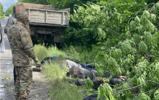 Ущерб на десятки миллионов. В нацпарке "Подольские Товтры" прекратили вырубку деревьев