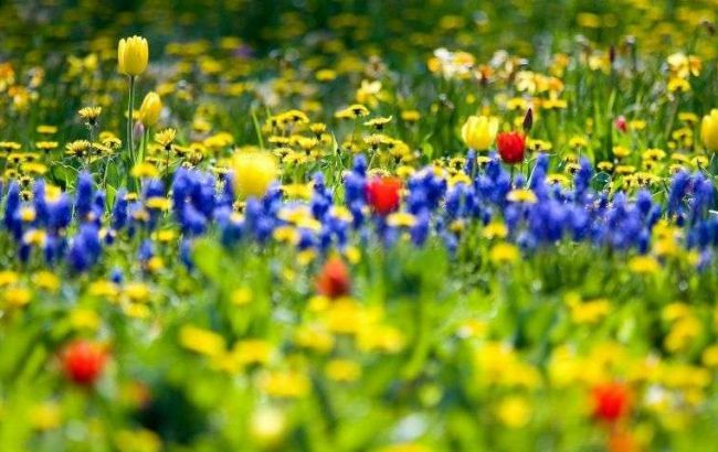 Праздник 1 мая: яркие и красивые открытки с поздравлениями