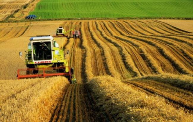 Аграрии назвали инициативы Святаша губительными для АПК и призвали их не поддерживать