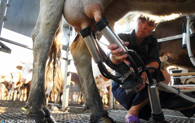 В Украине планируют первую в истории сельскохозяйственную перепись