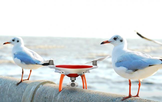 Vodafone и украинские разработчики создадут краудсорсинговую систему видеонаблюдения для безопасного города