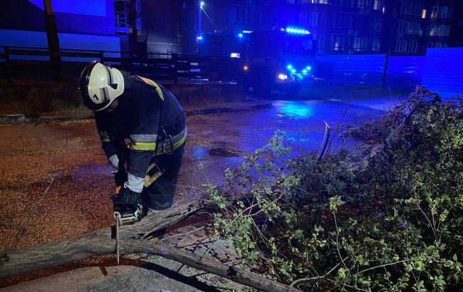 Низку областей України накрила негода: названо наслідки