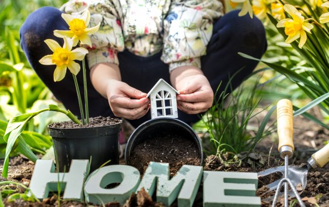 Как из крошечного сада сделать место мечты: 6 способов создать иллюзию простора