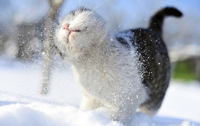 Погода на сегодня: в Украине без осадков, температура до -3
