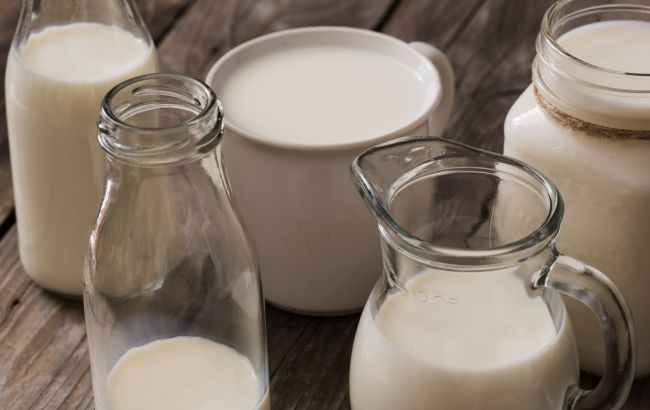 Грецький йогурт чи кефір: що насправді корисніше для здоров'я?