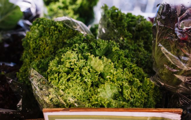 Не просто листя. 7 корисних видів салату, які легко знайти в супермаркеті